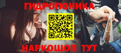 винт Новозыбков