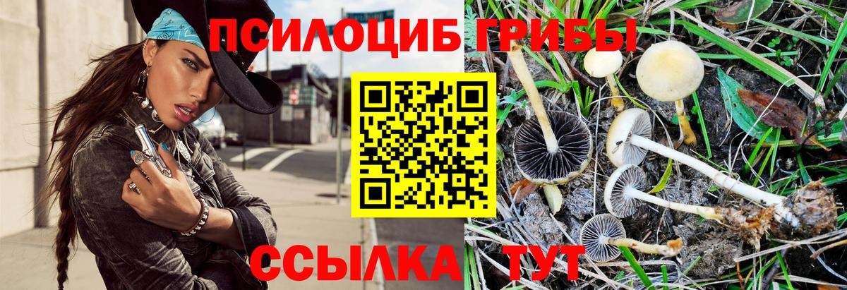 Псилоцибиновые грибы мухоморы Верхняя Пышма