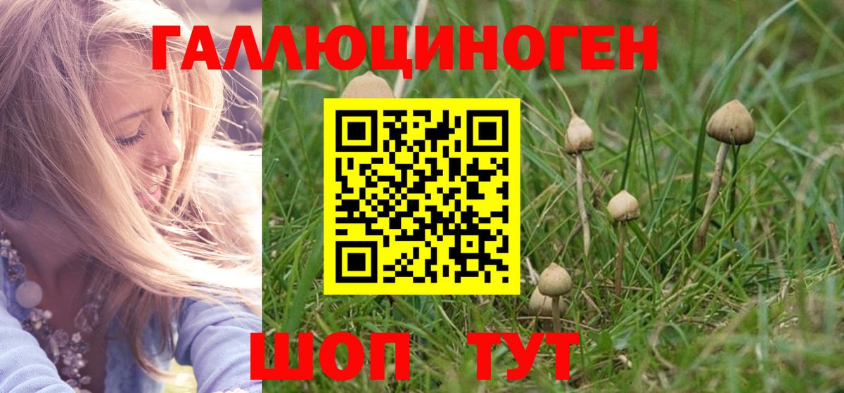 Псилоцибиновые грибы MAGIC MUSHROOMS  Вход с VPN  Верхняя Пышма 